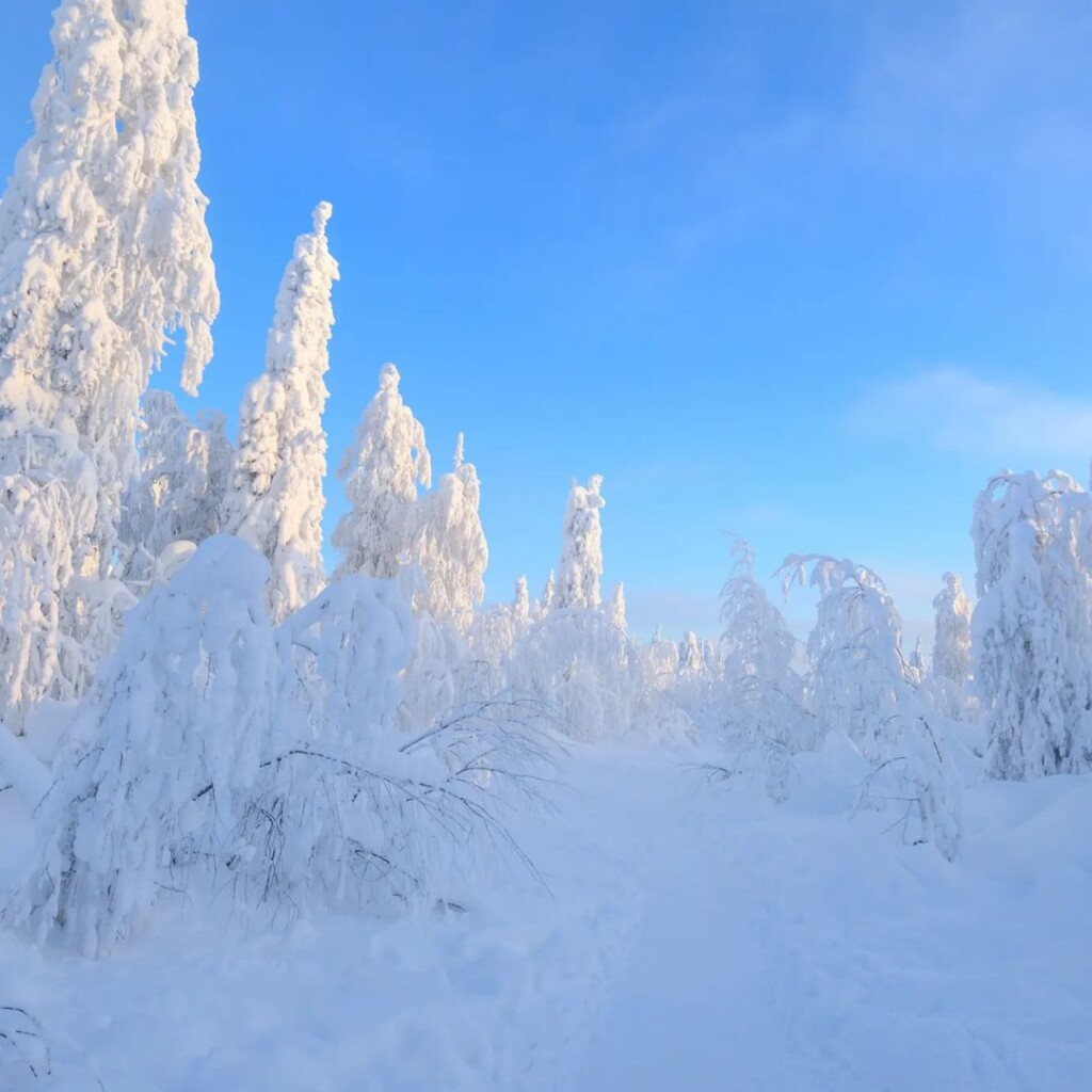 russia gelo neve freddo ghiaccio