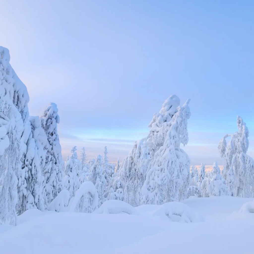 russia gelo neve freddo ghiaccio