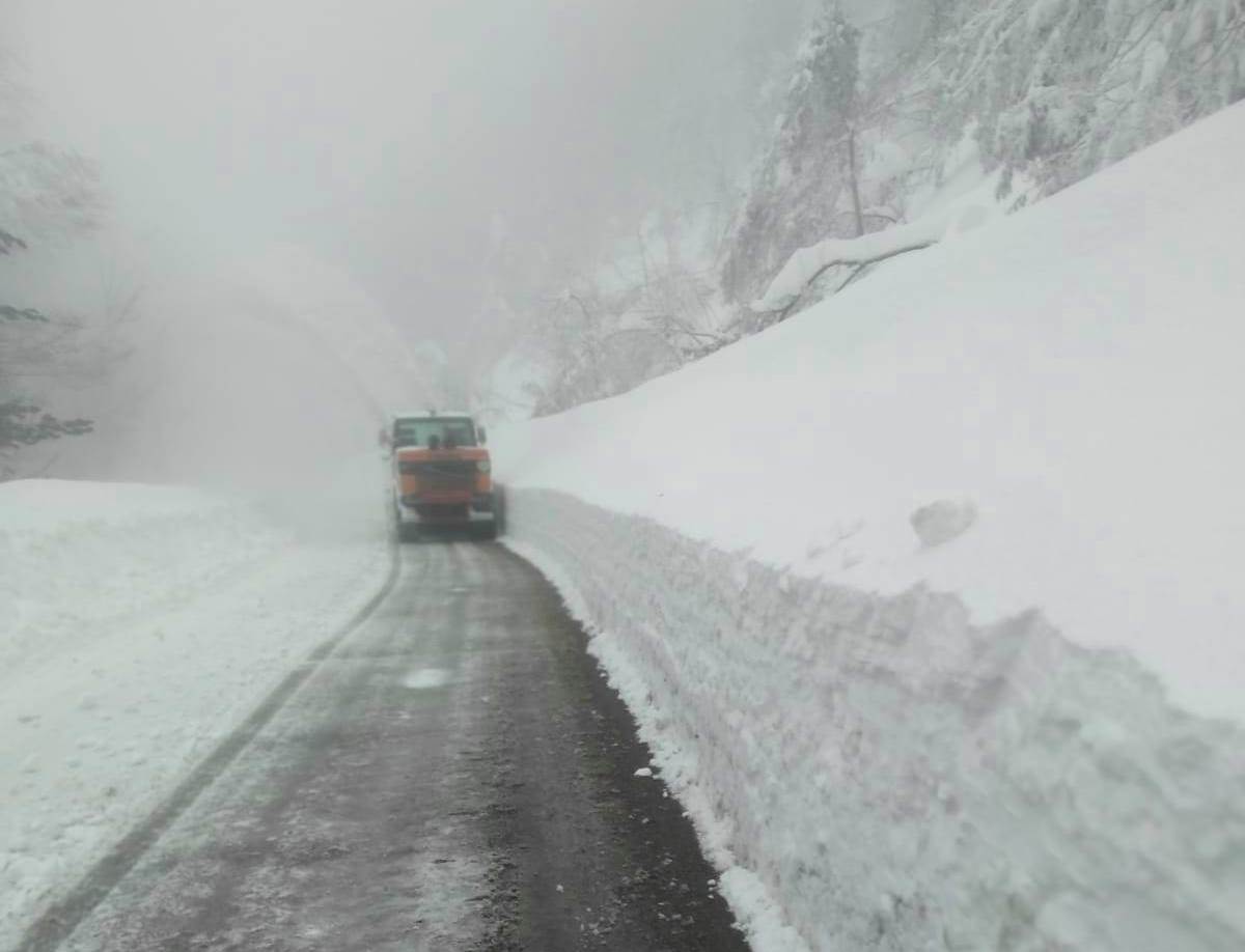 sila neve strada provinciale 208 10 febbraio 2023