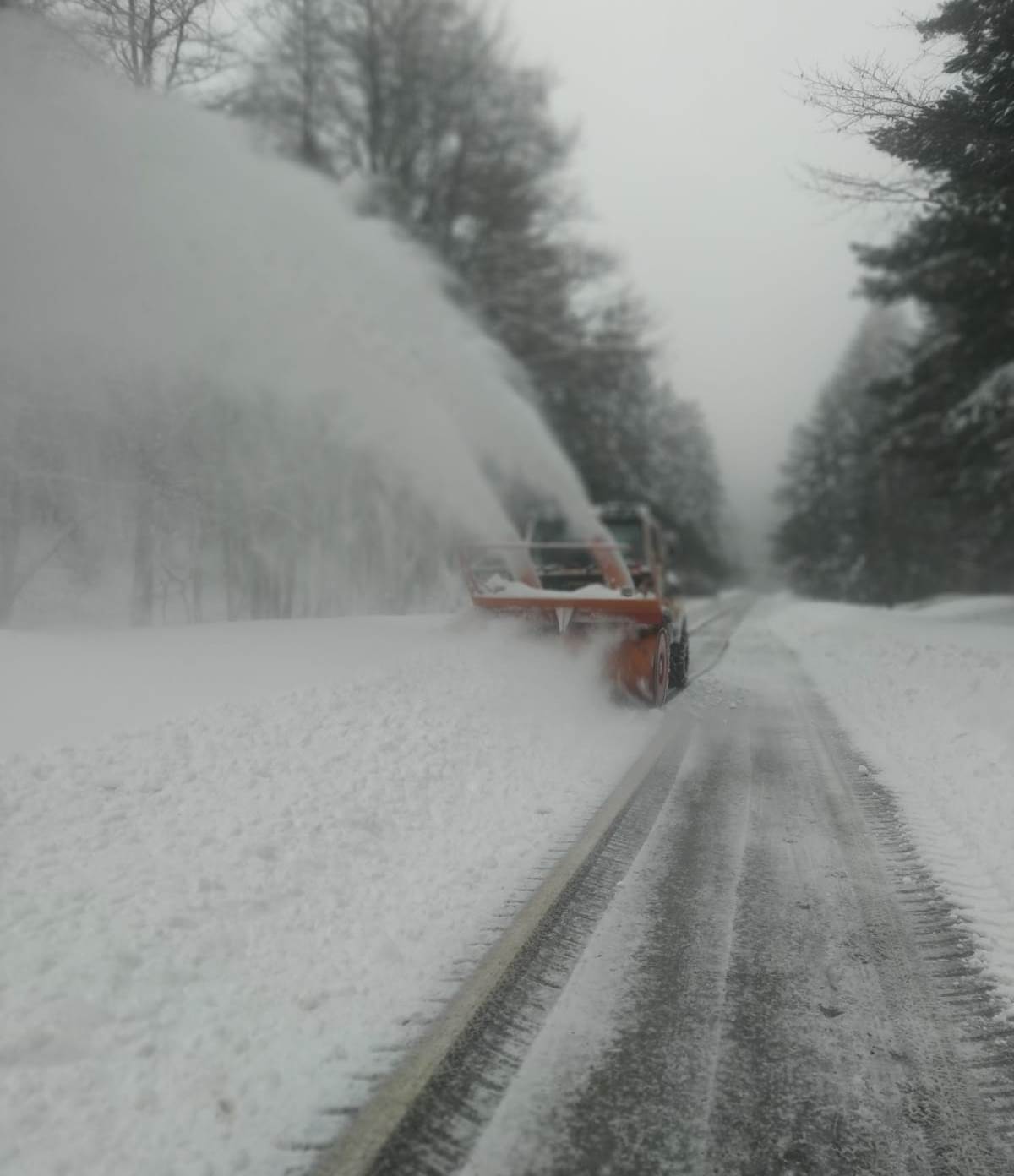 sila neve strada provinciale 208 10 febbraio 2023