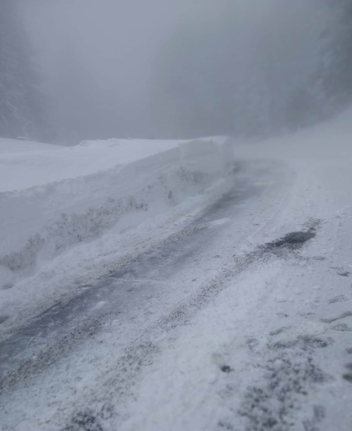 sila neve strada provinciale 208 10 febbraio 2023