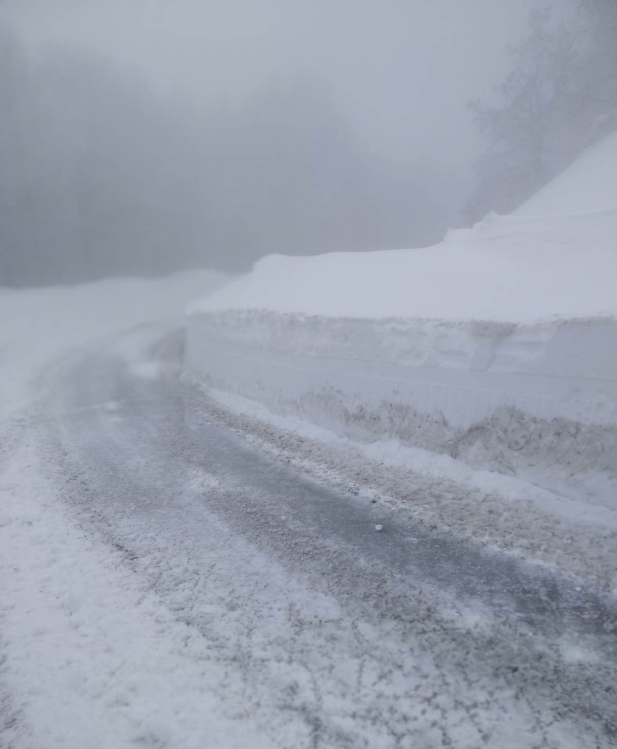 sila neve strada provinciale 208 10 febbraio 2023