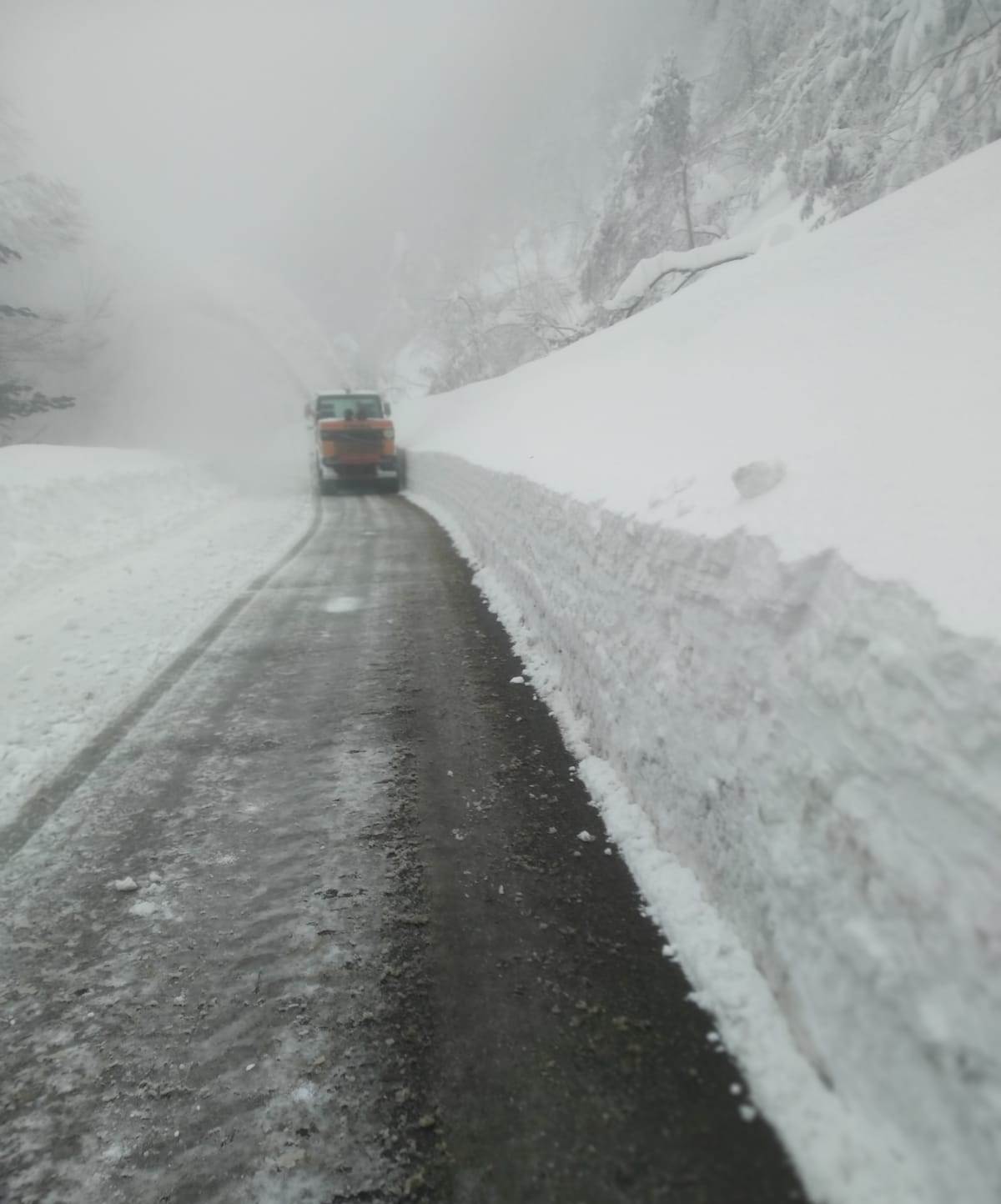 sila neve strada provinciale 208 10 febbraio 2023