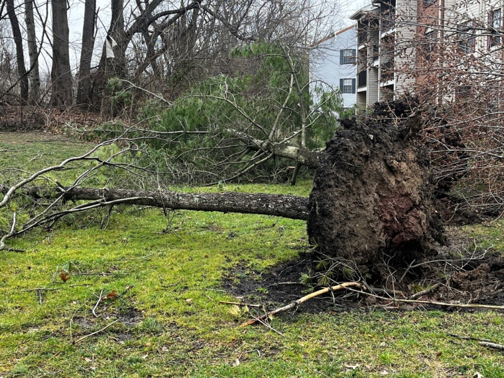 tornado new jersey