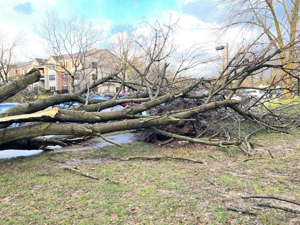 tornado new jersey