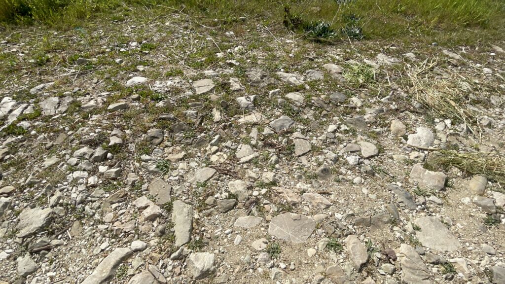 strada regia delle calabrie