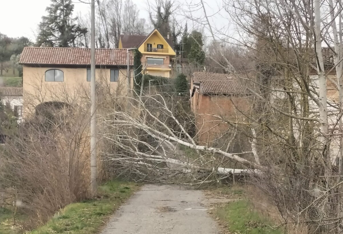 vento forte danni alessandria