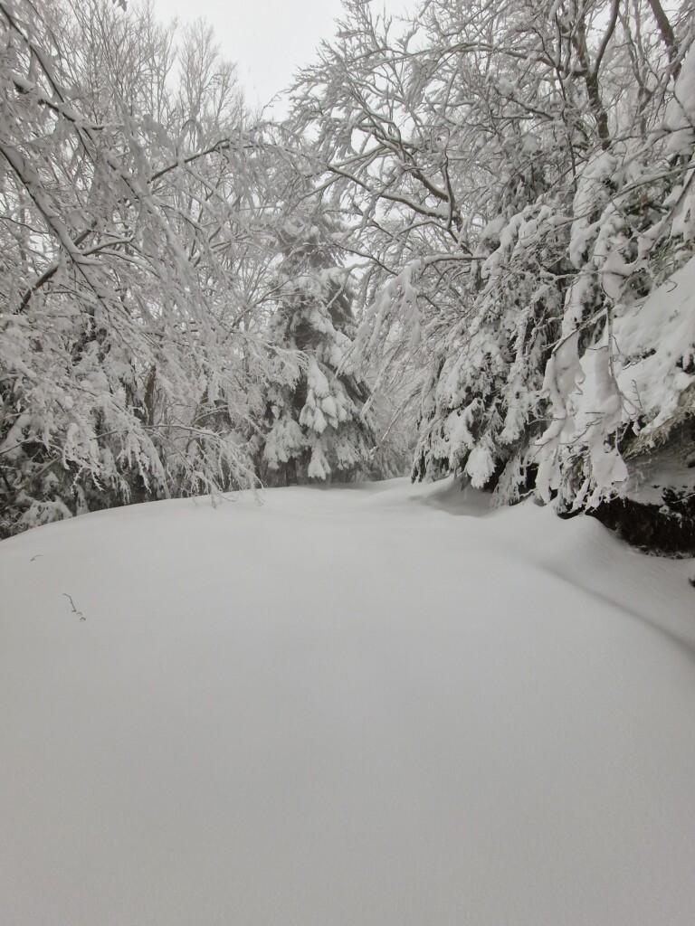 Ciaspolata Neve Aspromonte