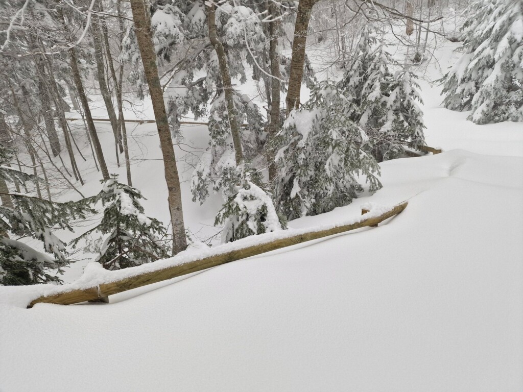 Ciaspolata Neve Aspromonte