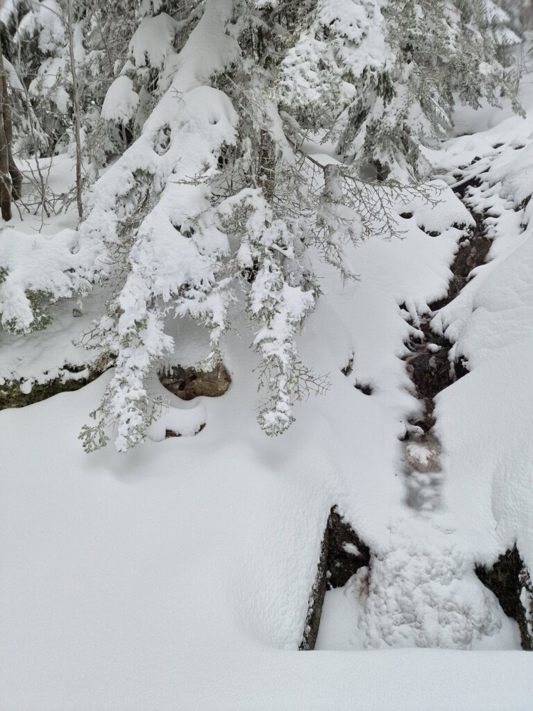 Ciaspolata Neve Aspromonte