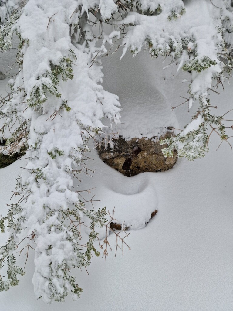 Ciaspolata Neve Aspromonte