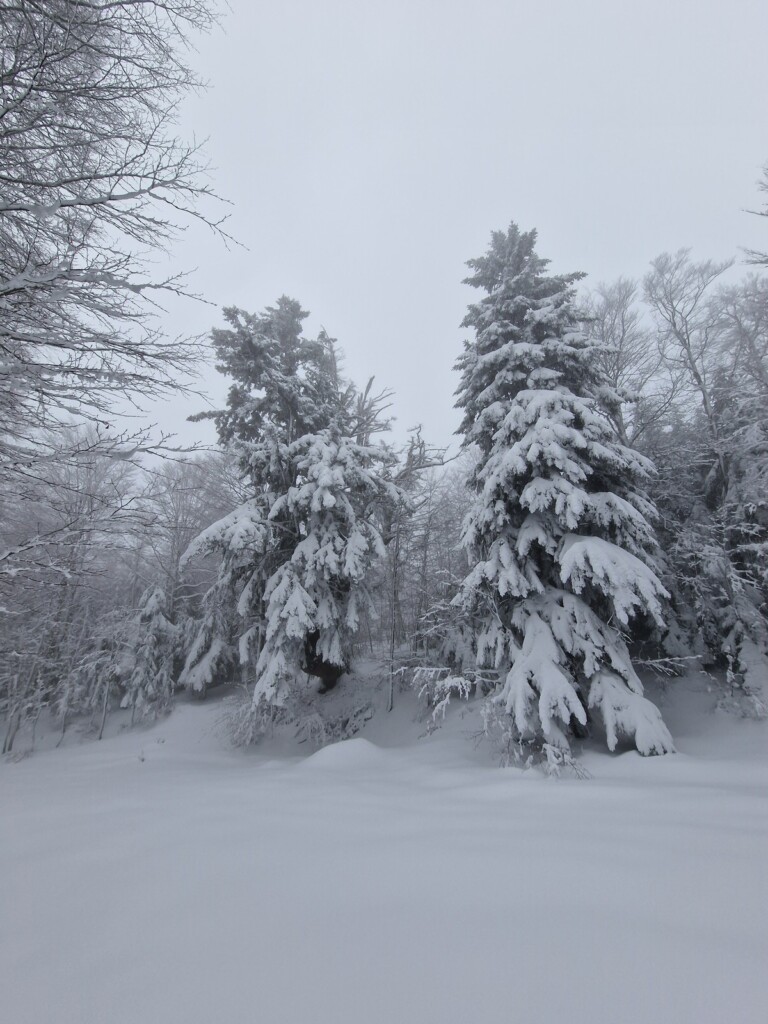 Ciaspolata Neve Aspromonte