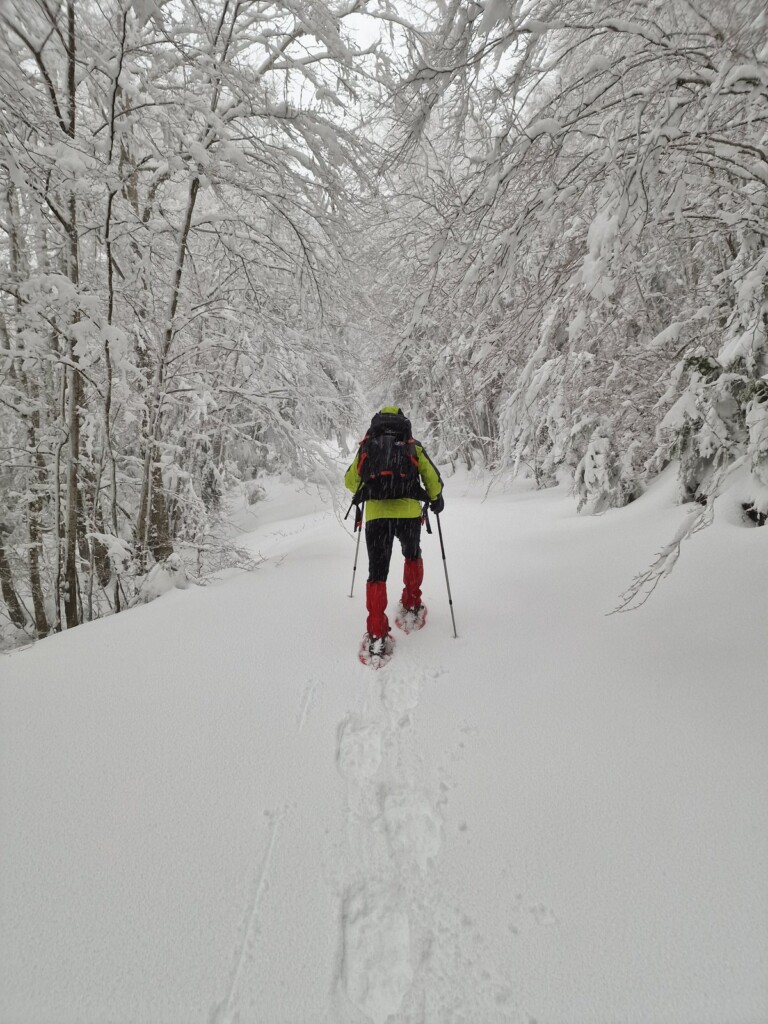 Ciaspolata Neve Aspromonte