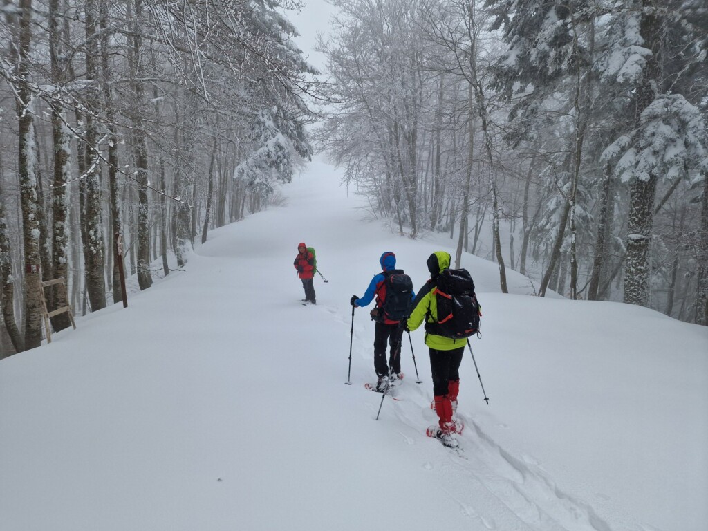 Ciaspolata Neve Aspromonte