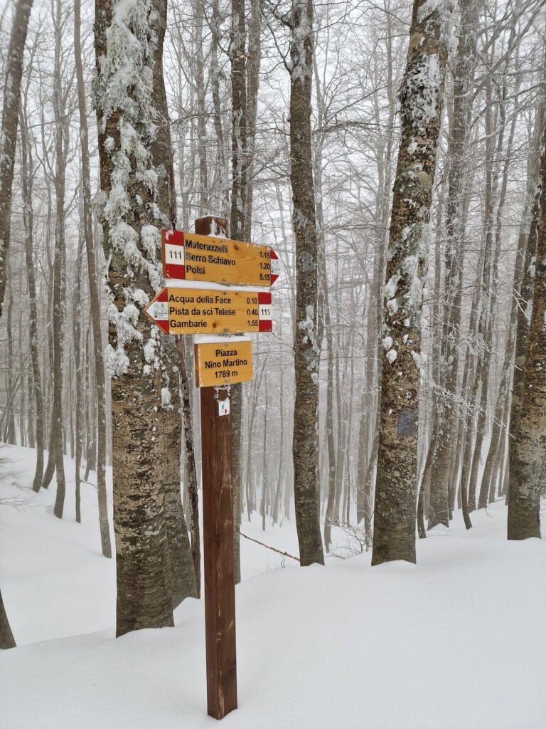 Ciaspolata Neve Aspromonte