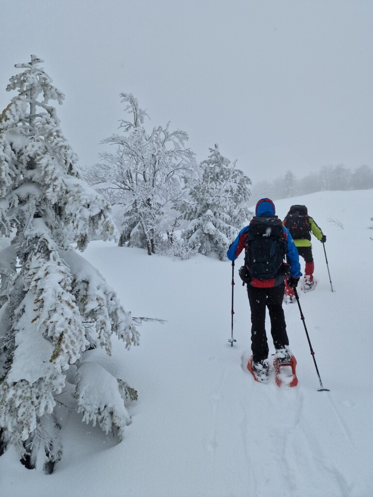 Ciaspolata Neve Aspromonte