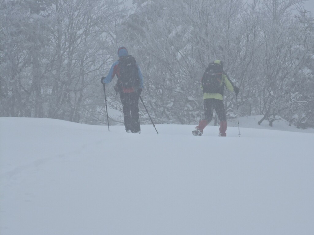 Ciaspolata Neve Aspromonte