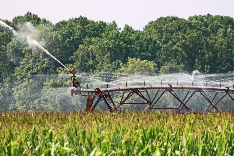 Siccità in Lazio - iniziata quest'anno in anticipo l'attività di irrigazione