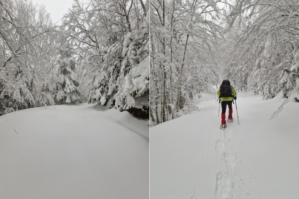 ciaspolata aspromonte neve