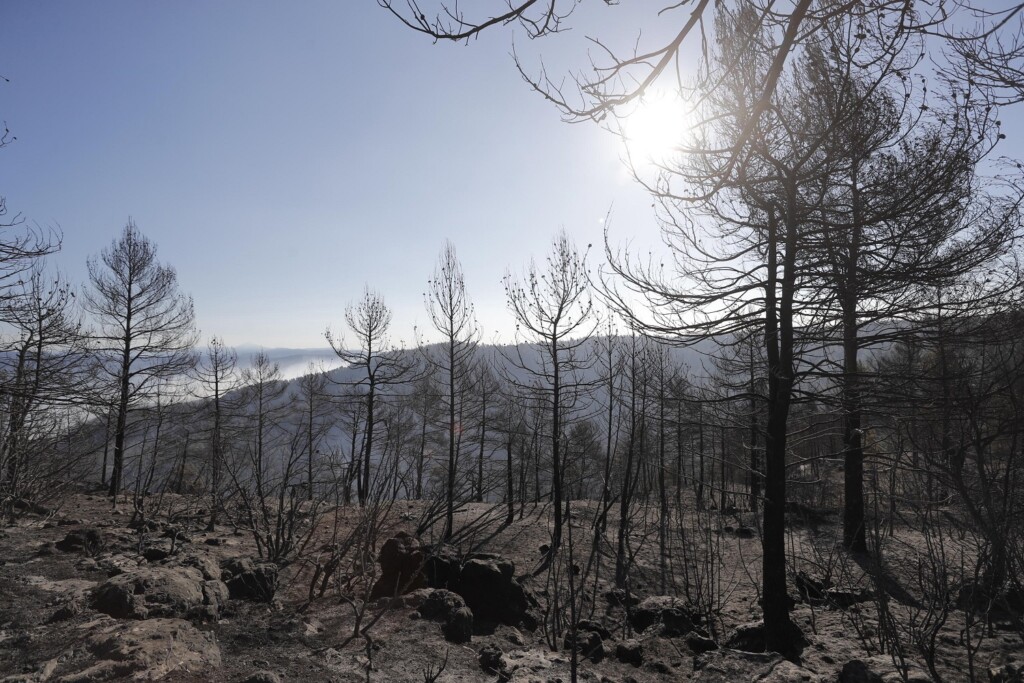 incendi spagna