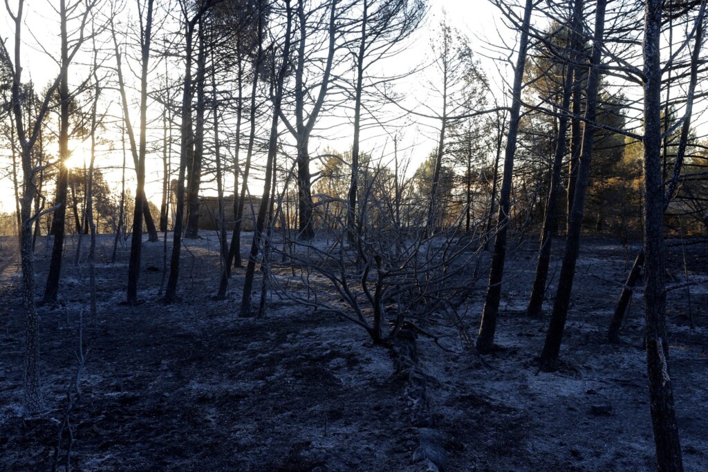 incendi spagna