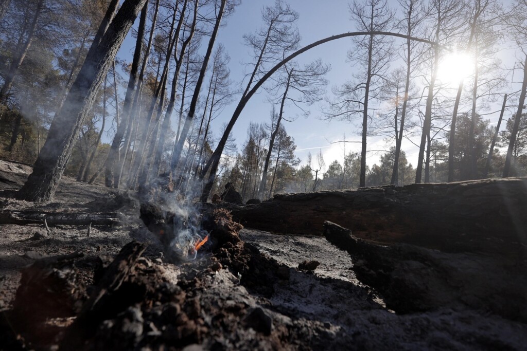 incendi spagna