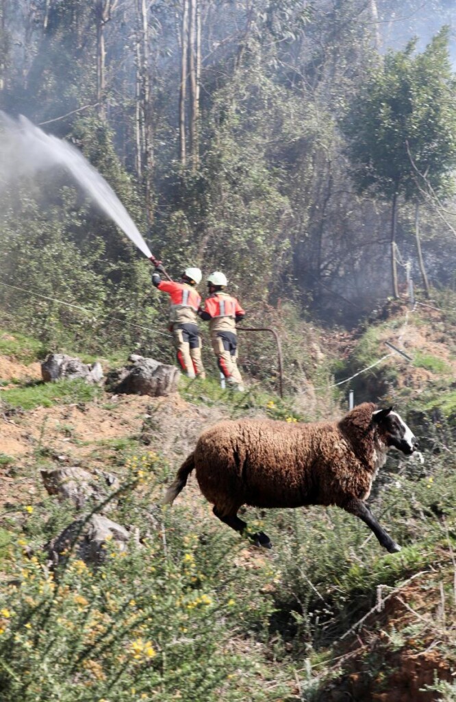 incendi spagna asturie