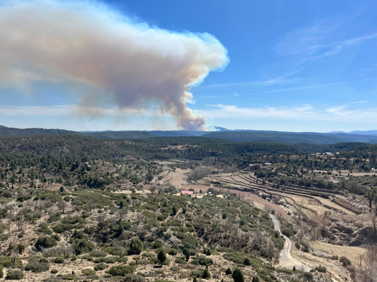 incendio Villanueva de Viver spagna