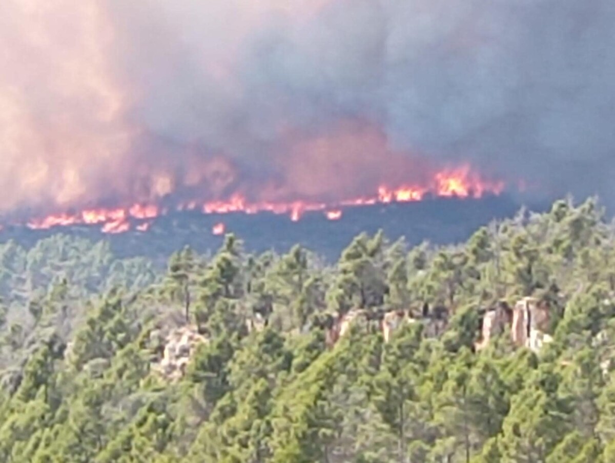 incendio Villanueva de Viver spagna