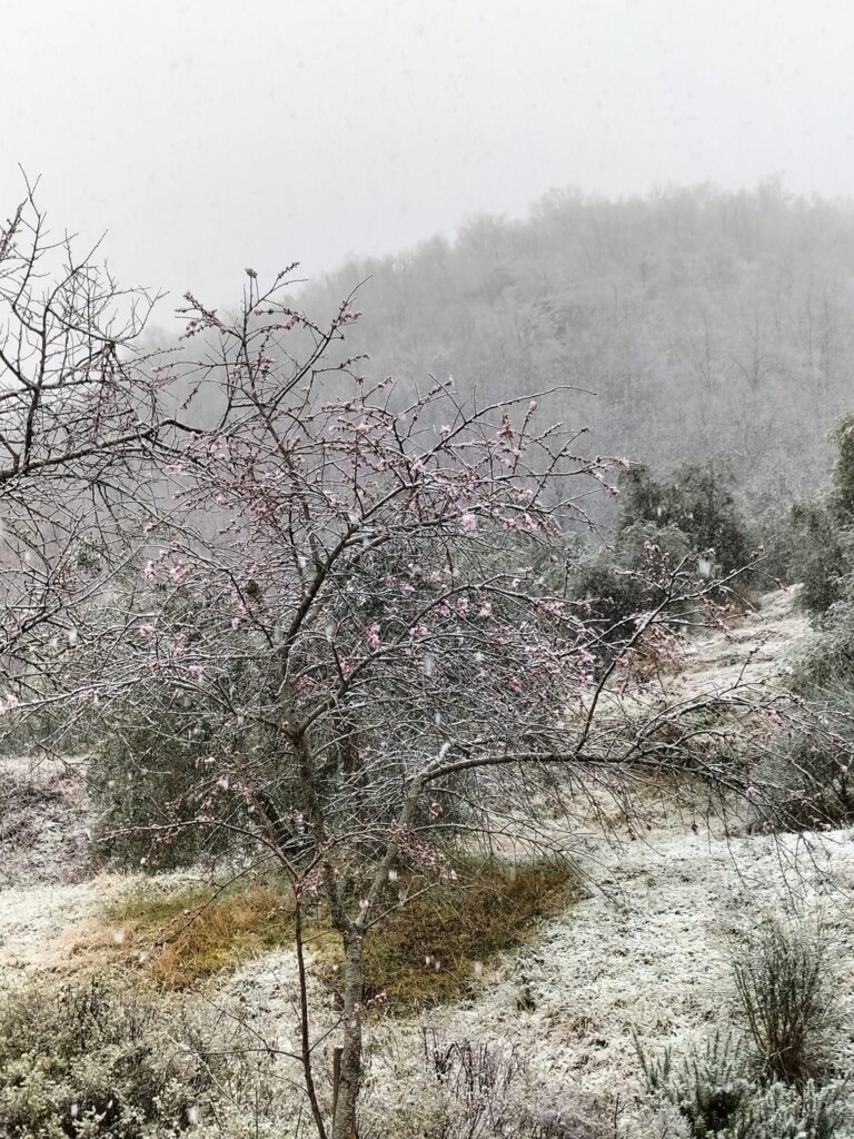 neve chianti toscana