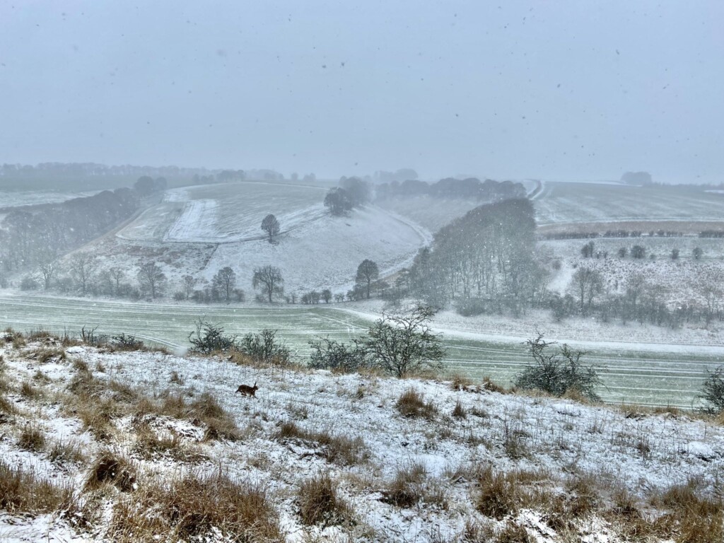 neve regno unito inghilterra