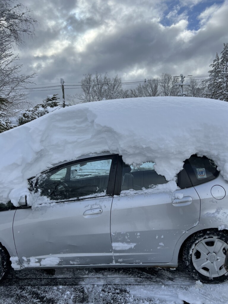 nor'easter neve USA