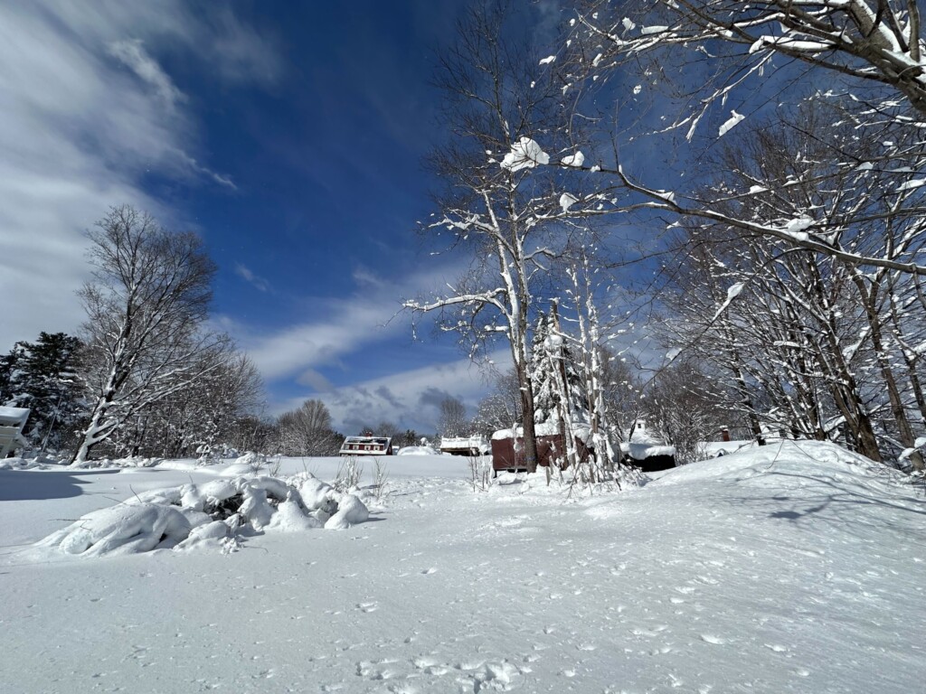 nor'easter neve USA