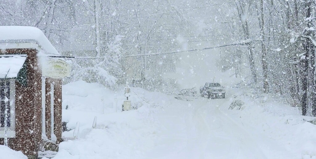 nor'easter neve USA