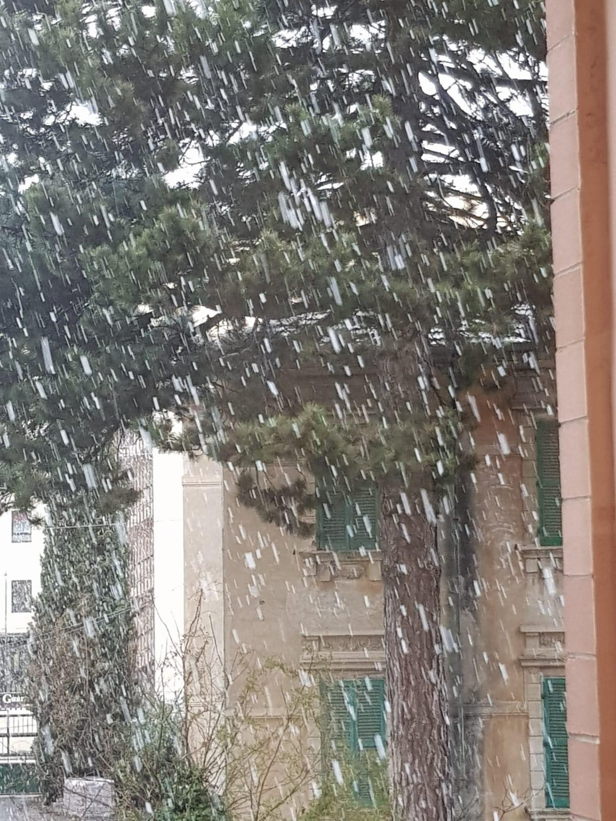 Nevicata ad Avezzano (L'Aquila)