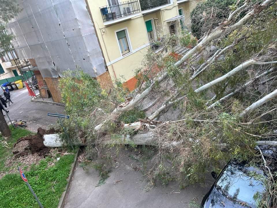 albero caduto vento lecce