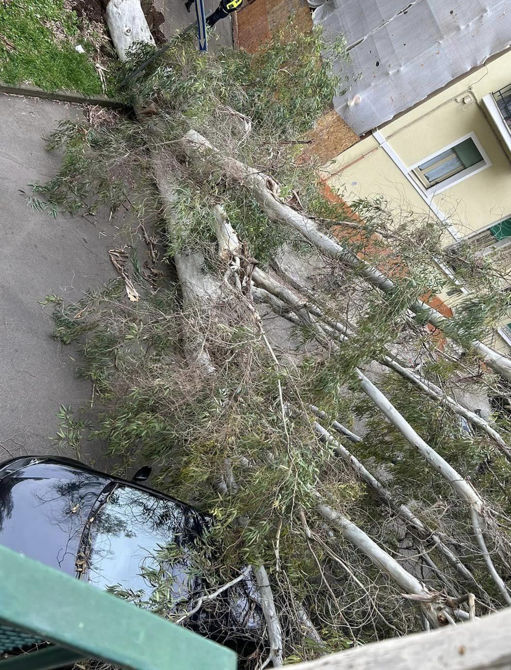 albero caduto vento lecce