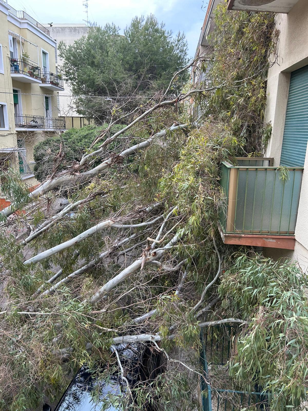 albero caduto vento lecce