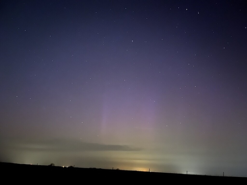 aurora olivet kansas 24 aprile (1)