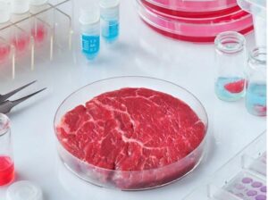 i pericoli della carne sintetica