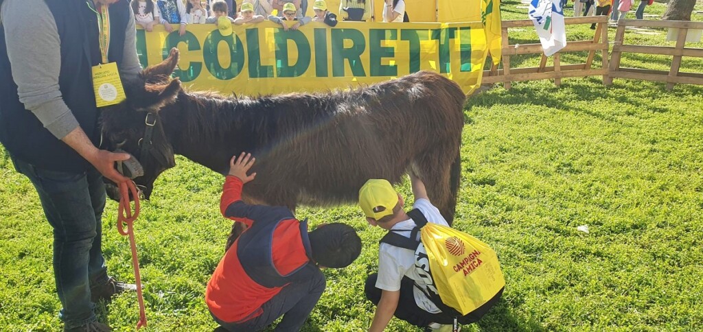 educazione alimentare pet terapy