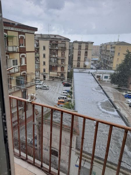 grandine foggia