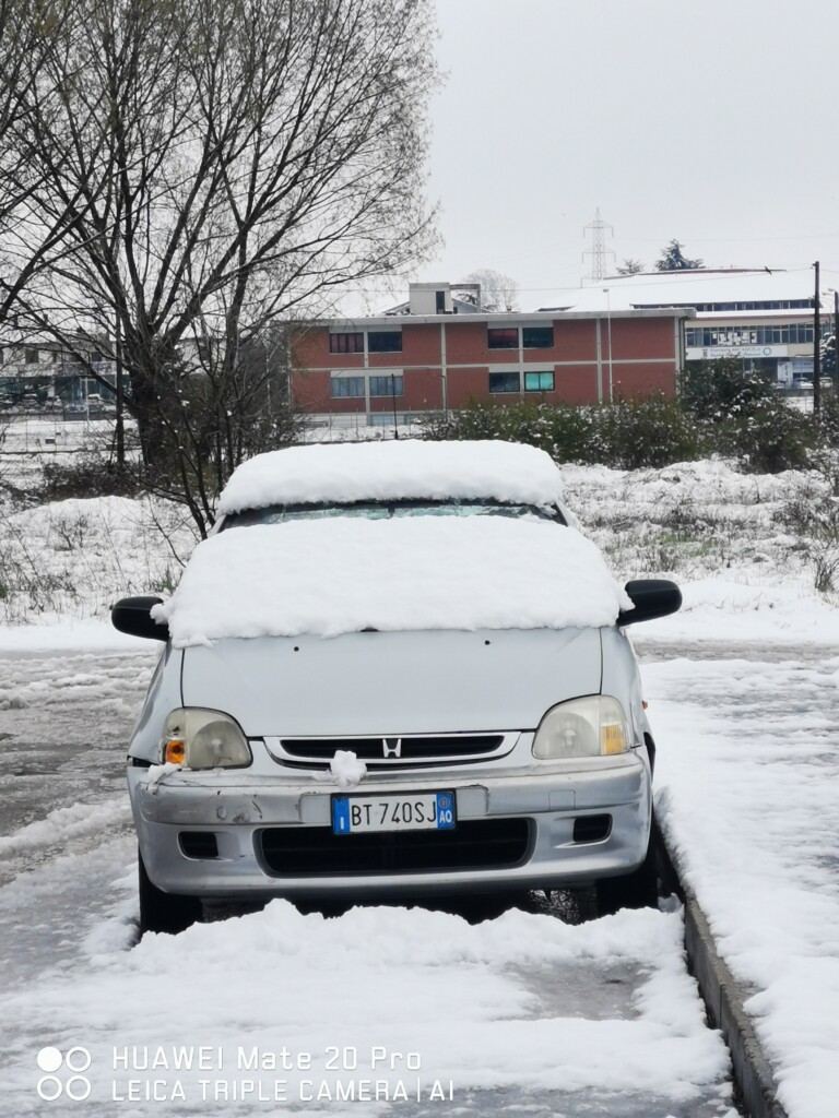 neve avezzano