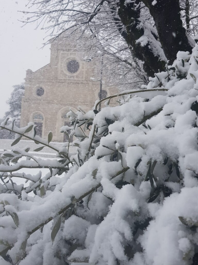 neve avezzano