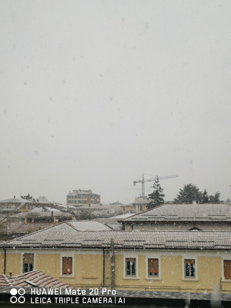 neve avezzano