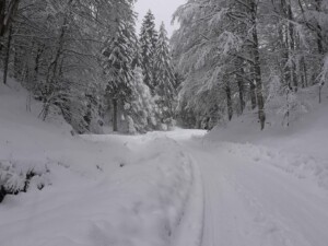 neve cansiglio veneto