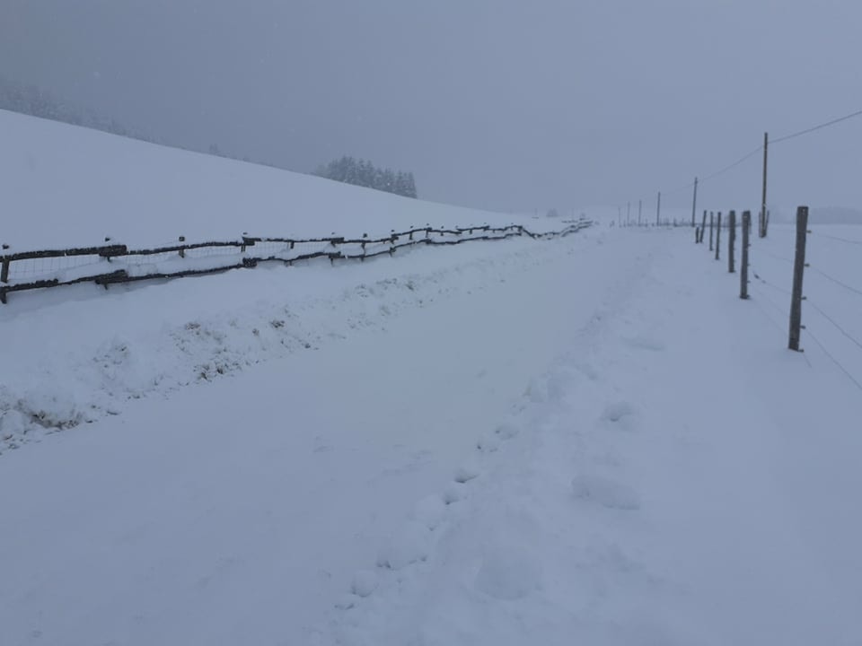 neve cansiglio veneto