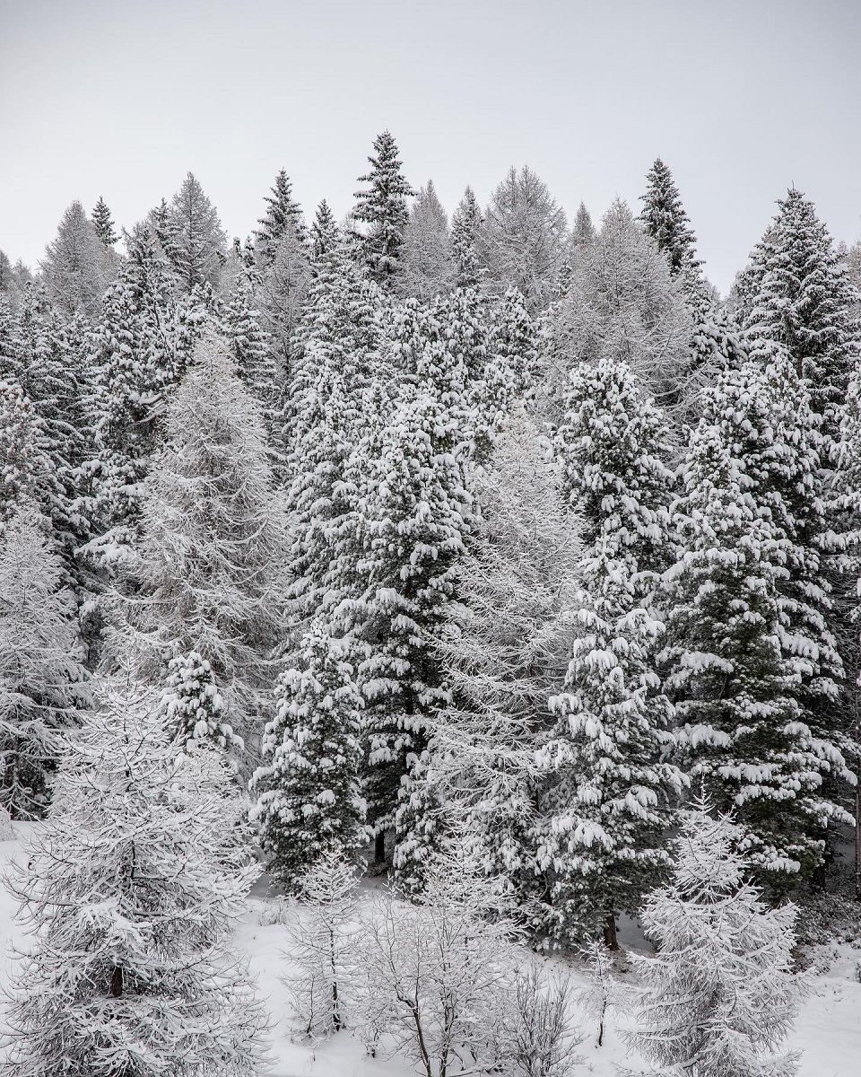 neve livigno