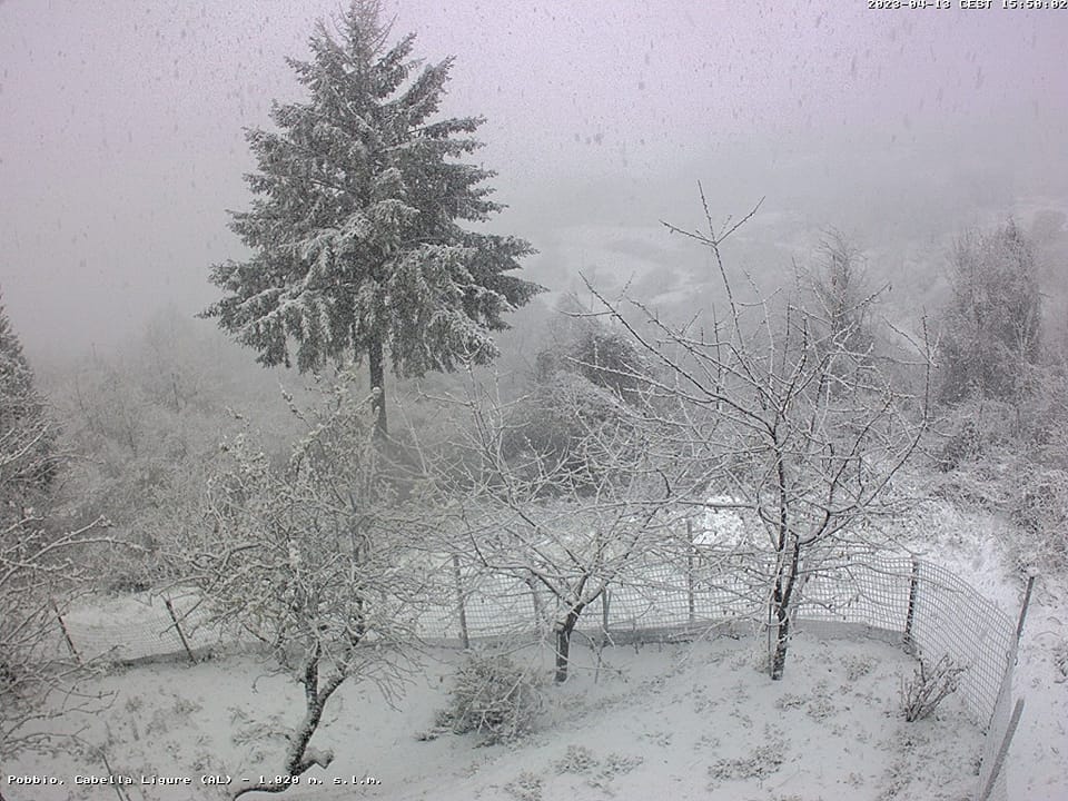 neve pobbio piemonte