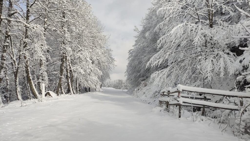 neve pratomagno toscana